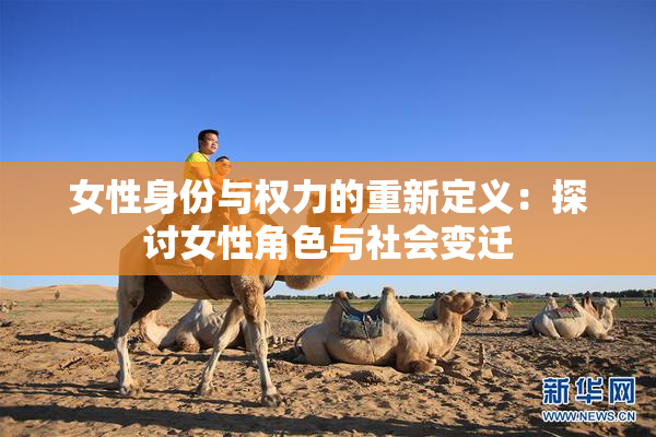 女性身份与权力的重新定义：探讨女性角色与社会变迁