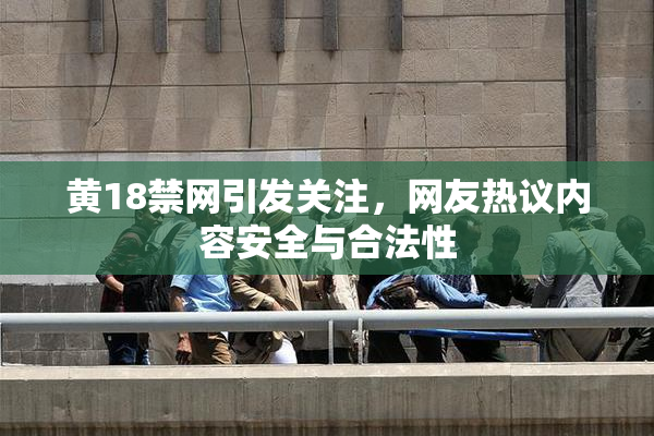 黄18禁网引发关注，网友热议内容安全与合法性