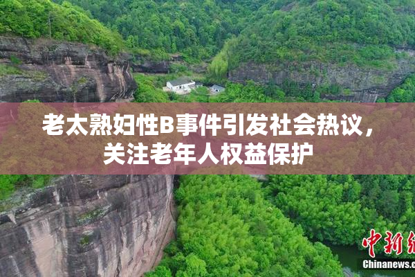老太熟妇性B事件引发社会热议，关注老年人权益保护