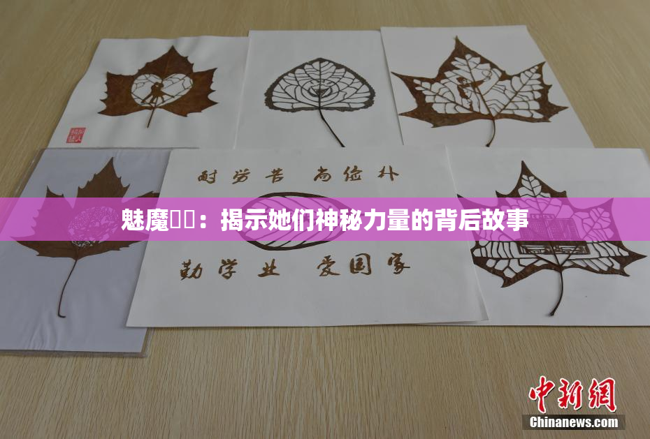 魅魔妺妺：揭示她们神秘力量的背后故事