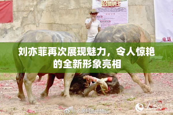 刘亦菲再次展现魅力，令人惊艳的全新形象亮相