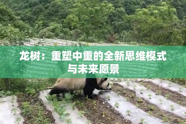 龙树：重塑中重的全新思维模式与未来愿景