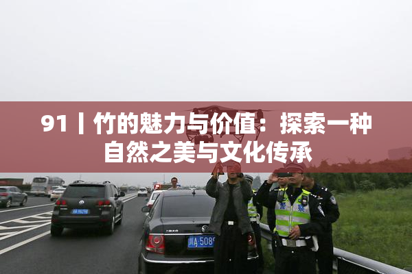 91丨竹的魅力与价值：探索一种自然之美与文化传承
