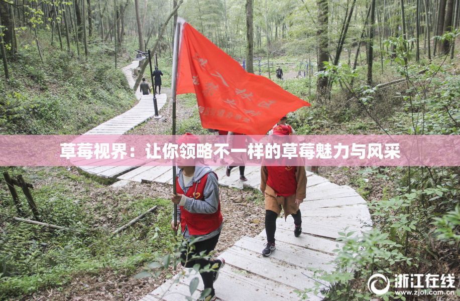 草莓视界：让你领略不一样的草莓魅力与风采
