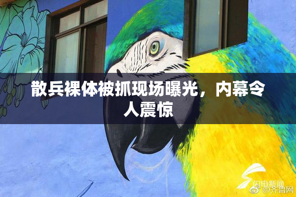 散兵裸体被抓现场曝光，内幕令人震惊