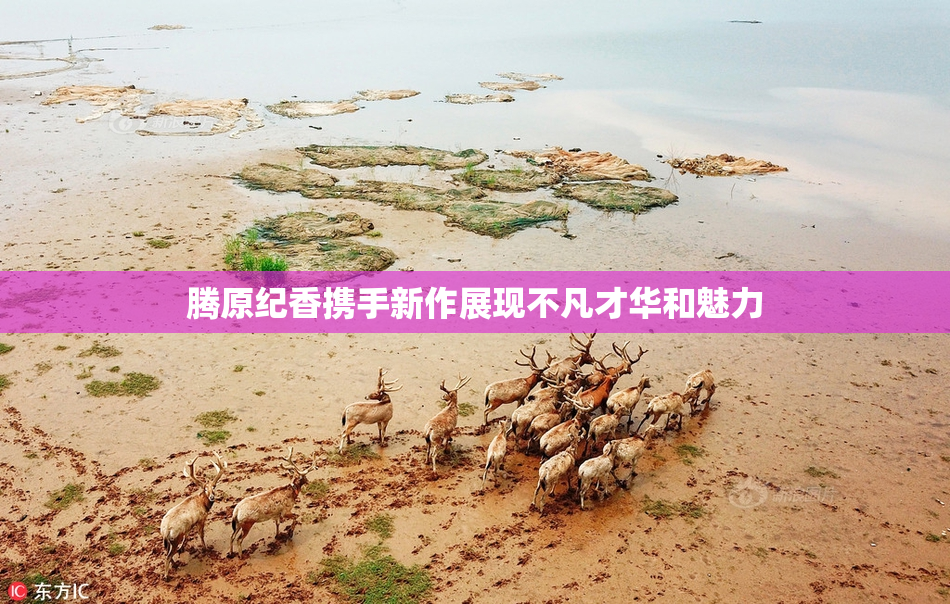腾原纪香携手新作展现不凡才华和魅力