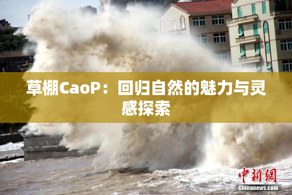 草棚CaoP：回归自然的魅力与灵感探索