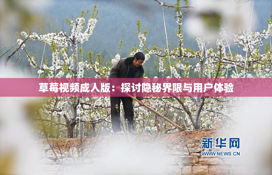 草莓视频成人版：探讨隐秘界限与用户体验