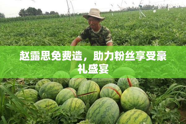 赵露思免费造，助力粉丝享受豪礼盛宴