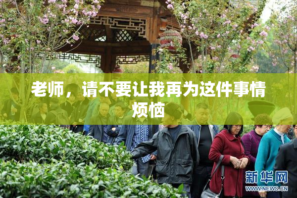 老师，请不要让我再为这件事情烦恼