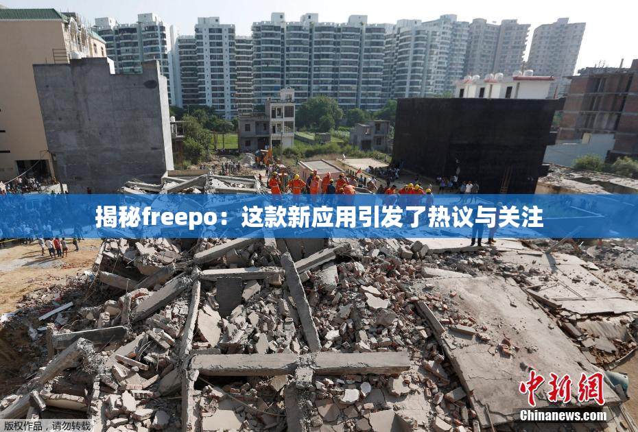 揭秘freepo：这款新应用引发了热议与关注