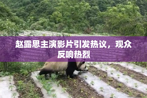 赵露思主演影片引发热议，观众反响热烈