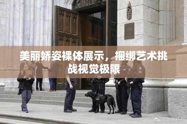 美丽娇姿裸体展示，捆绑艺术挑战视觉极限