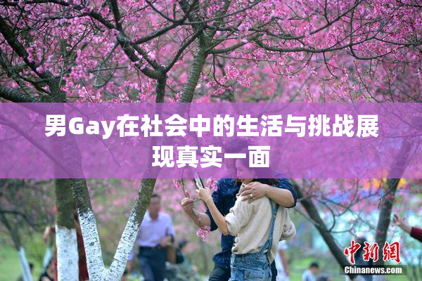 男Gay在社会中的生活与挑战展现真实一面
