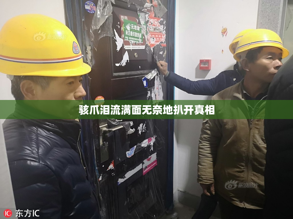 骇爪泪流满面无奈地扒开真相