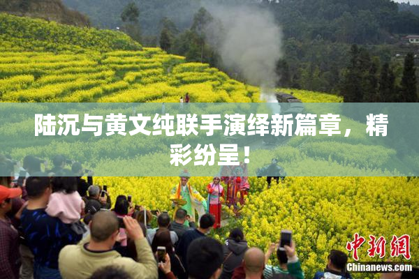 陆沉与黄文纯联手演绎新篇章，精彩纷呈！
