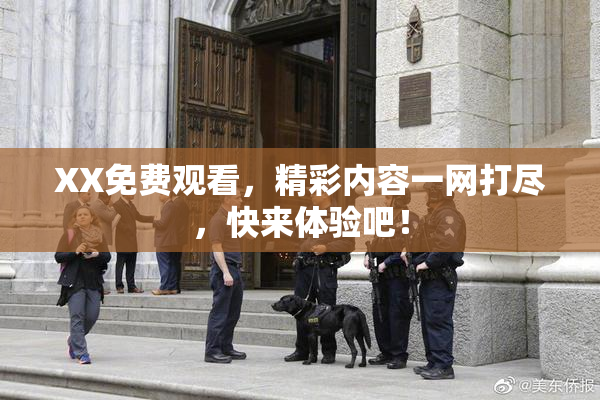 XX免费观看，精彩内容一网打尽，快来体验吧！