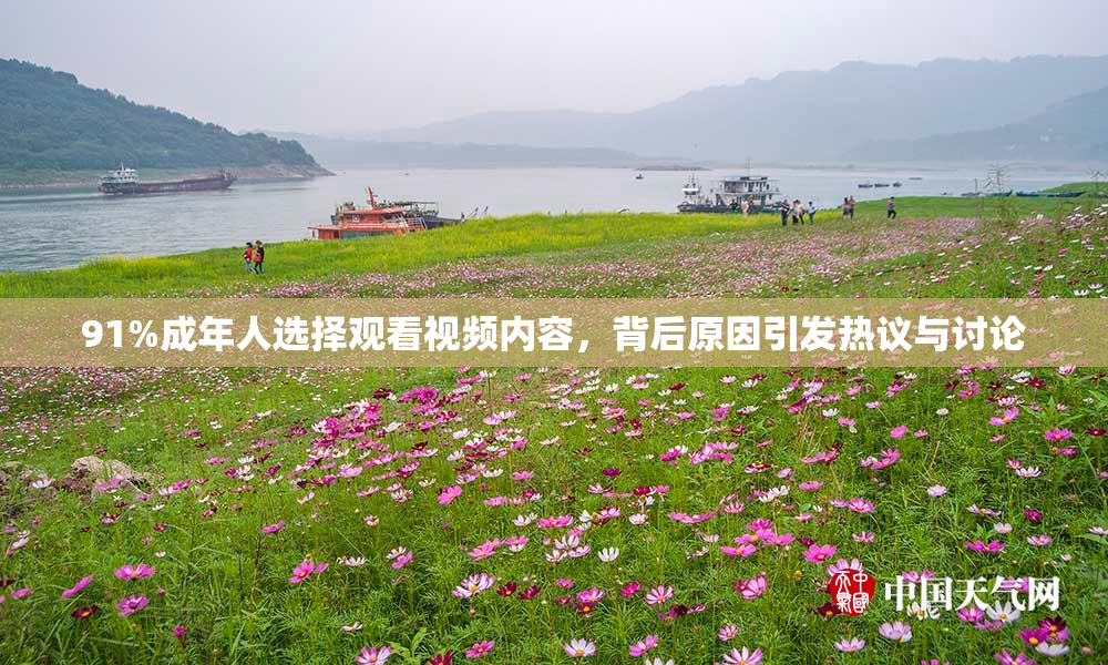 91%成年人选择观看视频内容，背后原因引发热议与讨论