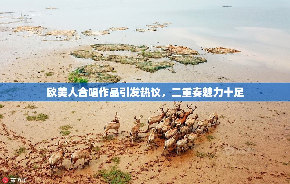 欧美人合唱作品引发热议，二重奏魅力十足
