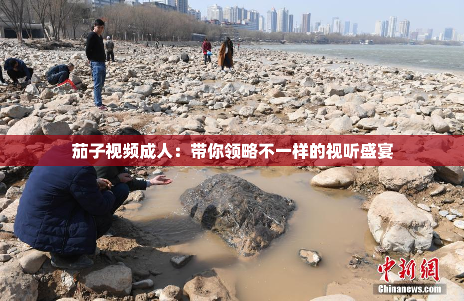 茄子视频成人：带你领略不一样的视听盛宴