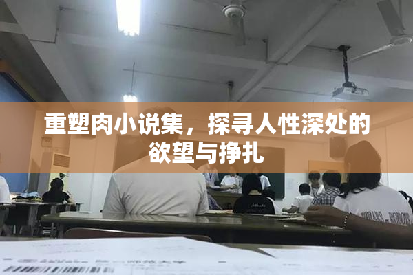 重塑肉小说集，探寻人性深处的欲望与挣扎