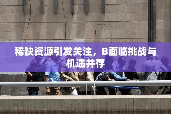 稀缺资源引发关注，B面临挑战与机遇并存