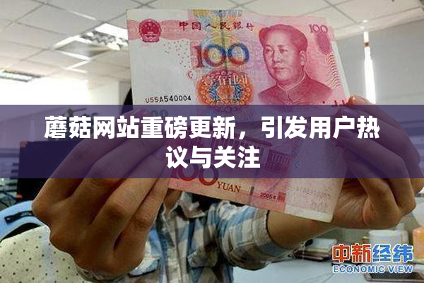 蘑菇网站重磅更新，引发用户热议与关注