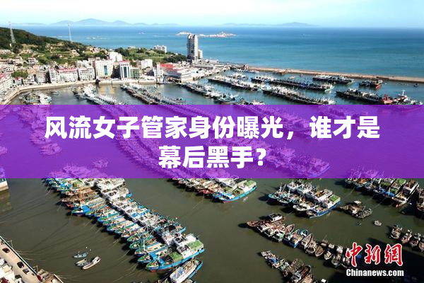风流女子管家身份曝光，谁才是幕后黑手？