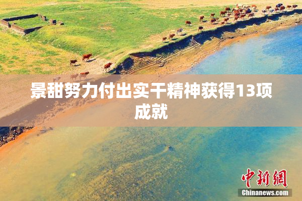 景甜努力付出实干精神获得13项成就