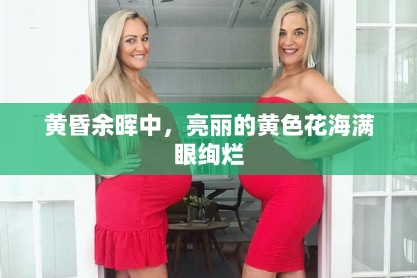 黄昏余晖中，亮丽的黄色花海满眼绚烂