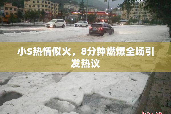 小S热情似火，8分钟燃爆全场引发热议