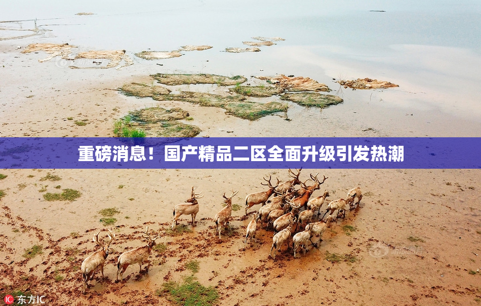 重磅消息！国产精品二区全面升级引发热潮