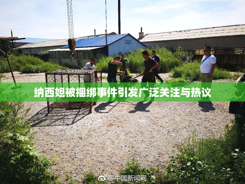 纳西妲被捆绑事件引发广泛关注与热议