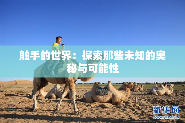 触手的世界：探索那些未知的奥秘与可能性
