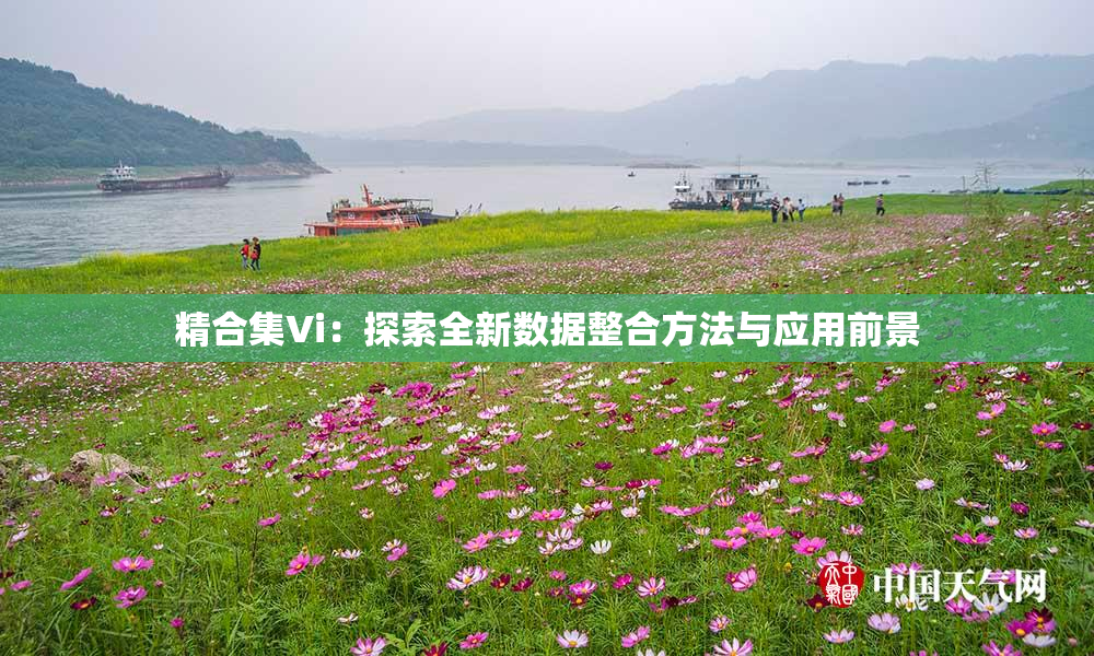 精合集Vi：探索全新数据整合方法与应用前景