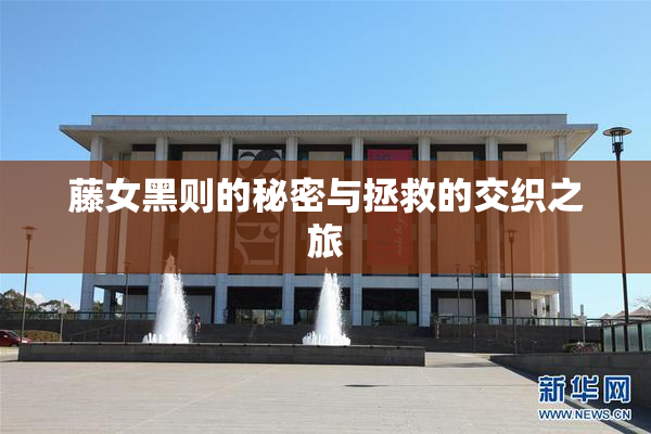 藤女黑则的秘密与拯救的交织之旅