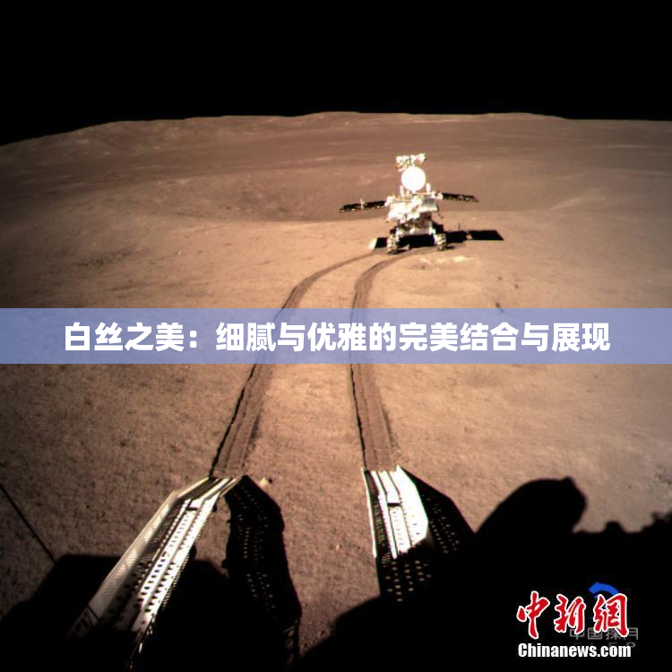 白丝之美：细腻与优雅的完美结合与展现