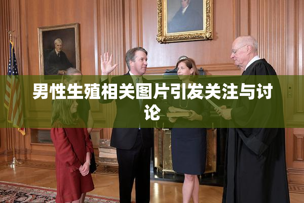 男性生殖相关图片引发关注与讨论