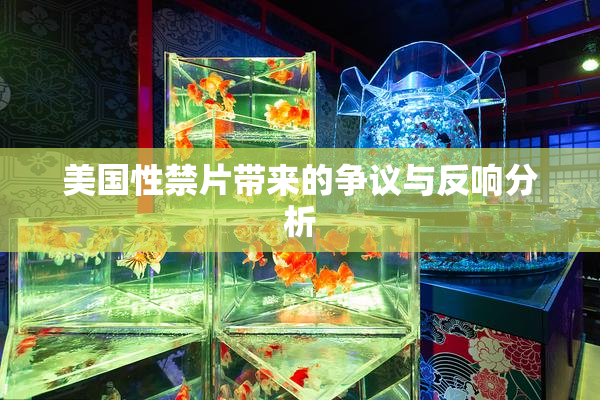 美国性禁片带来的争议与反响分析