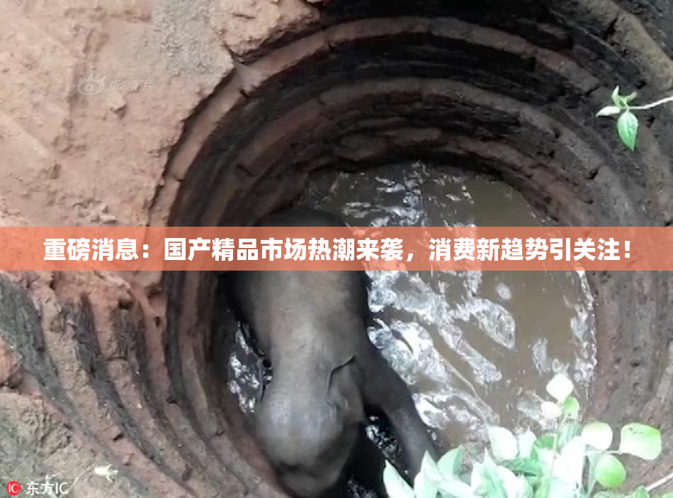 重磅消息：国产精品市场热潮来袭，消费新趋势引关注！