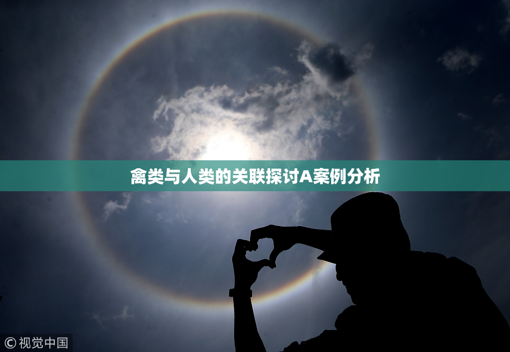 禽类与人类的关联探讨A案例分析