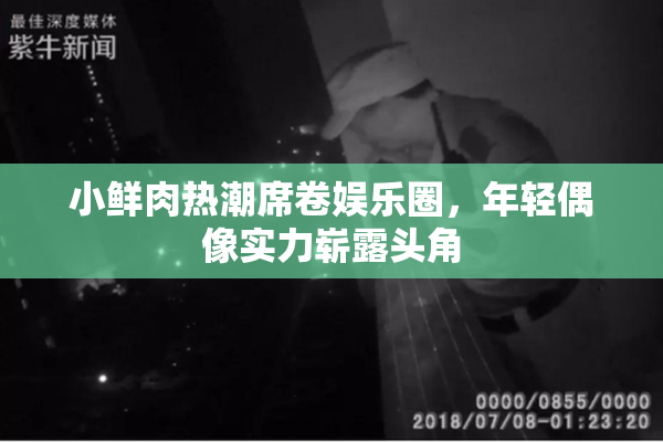 小鲜肉热潮席卷娱乐圈，年轻偶像实力崭露头角