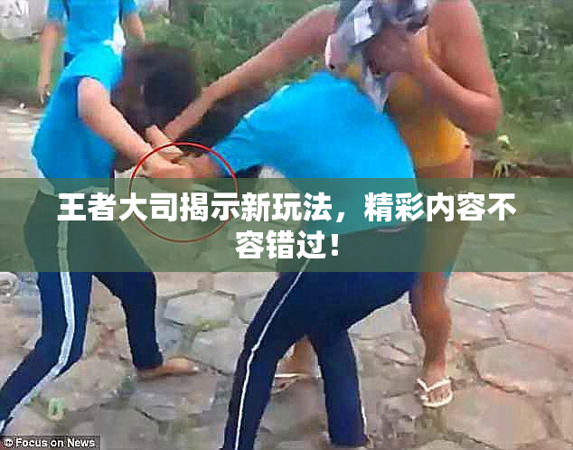 王者大司揭示新玩法，精彩内容不容错过！