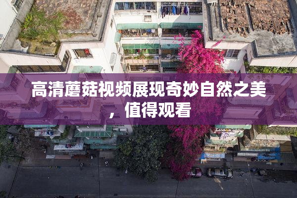 高清蘑菇视频展现奇妙自然之美，值得观看