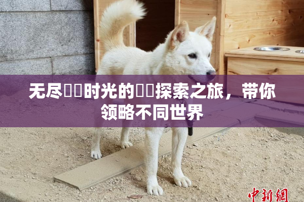无尽❌‌时光的❌‌探索之旅，带你领略不同世界