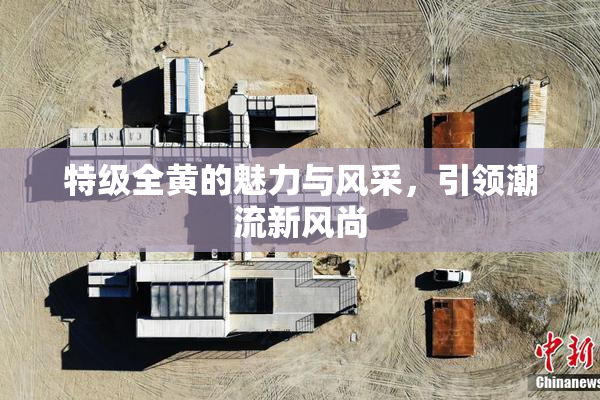 特级全黄的魅力与风采，引领潮流新风尚