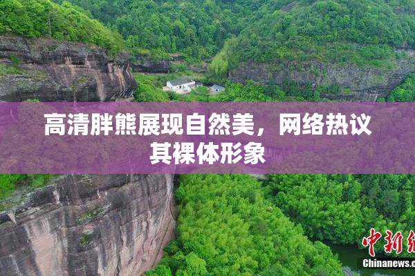 高清胖熊展现自然美，网络热议其裸体形象