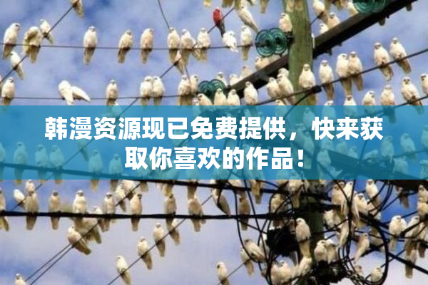 韩漫资源现已免费提供，快来获取你喜欢的作品！