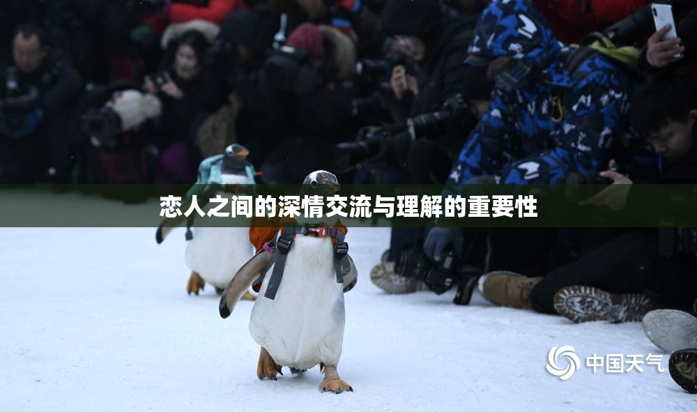 恋人之间的深情交流与理解的重要性