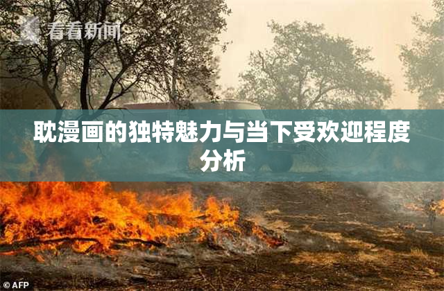 耽漫画的独特魅力与当下受欢迎程度分析